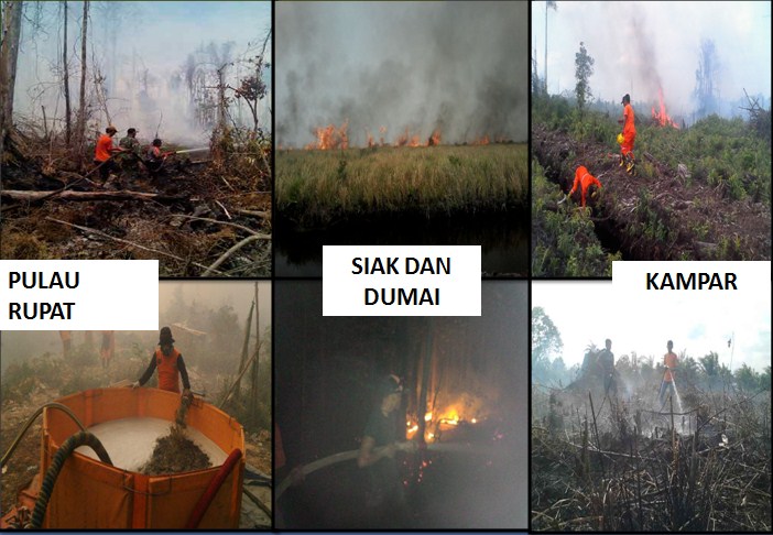 Indonesia Kerahkan Ribuan Anggota TNI Atasi Kabut Asap, kata Media Asing